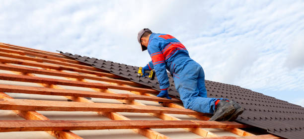 Best Roof Moss and Algae Removal  in Peachtree City, GA